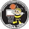 https://img.lishanzhu.com/img/basketball/team/e416830f4083698237c559f8988ddb25.png