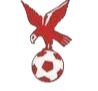 https://img.lishanzhu.com/img/football/team/4802d26df935b78bb2fcdbbff36e8864.png