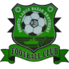 https://img.lishanzhu.com/img/football/team/74a62b647e358e0531d376af7ab679fd.png