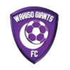 https://img.lishanzhu.com/img/football/team/c5a548d374c3bb29f1190bf670442c90.png