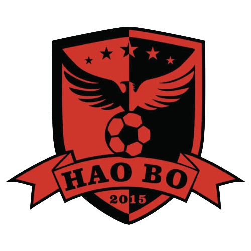 https://img.lishanzhu.com/img/football/team/d9a3c5c122b3cc6e825109eb6745e378.png