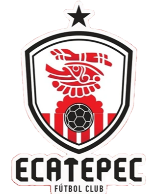 https://img.lishanzhu.com/img/football/team/f8fefa1062b7f72982263757680421c0.png